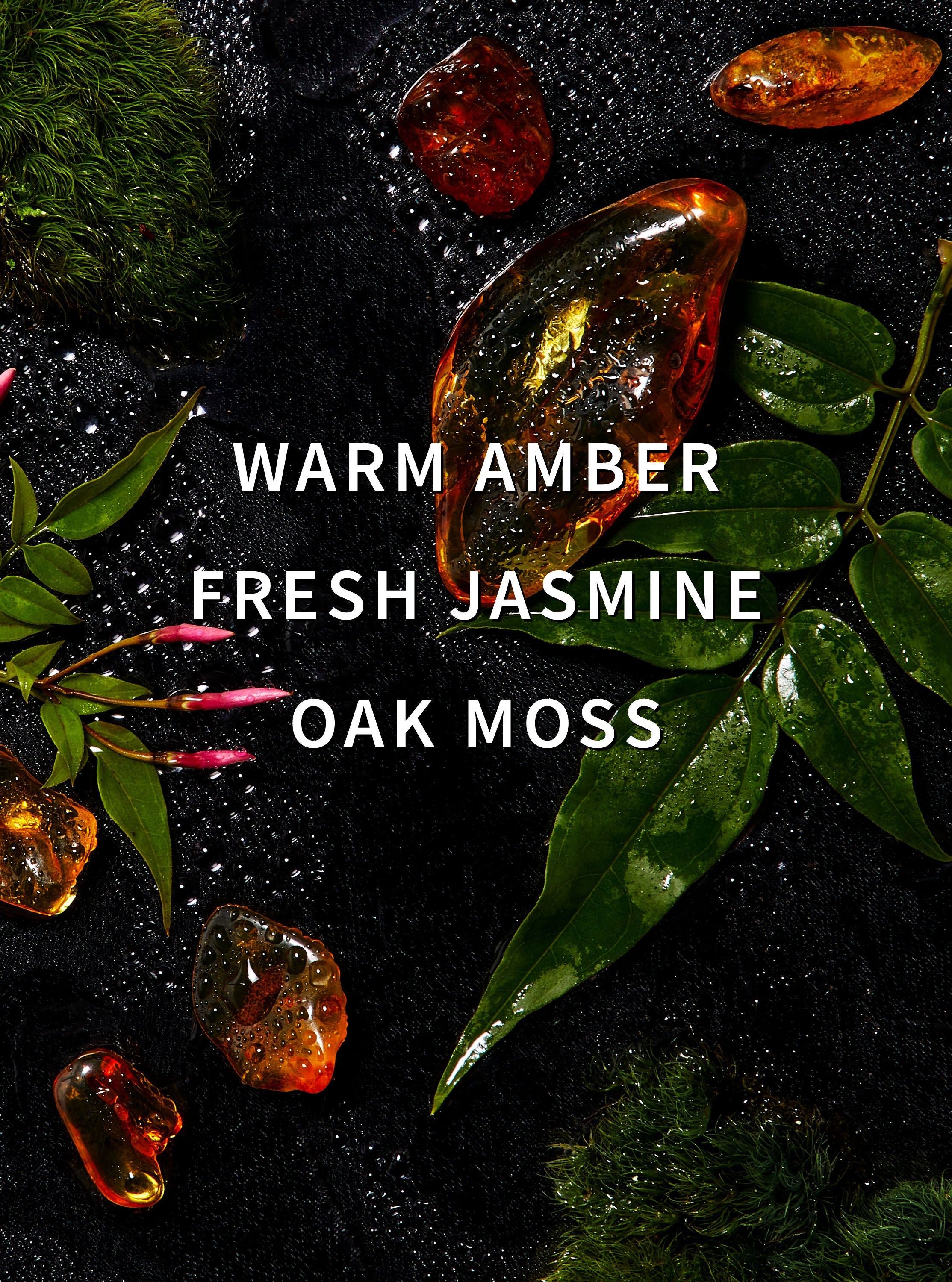 White BarnAmber Blush