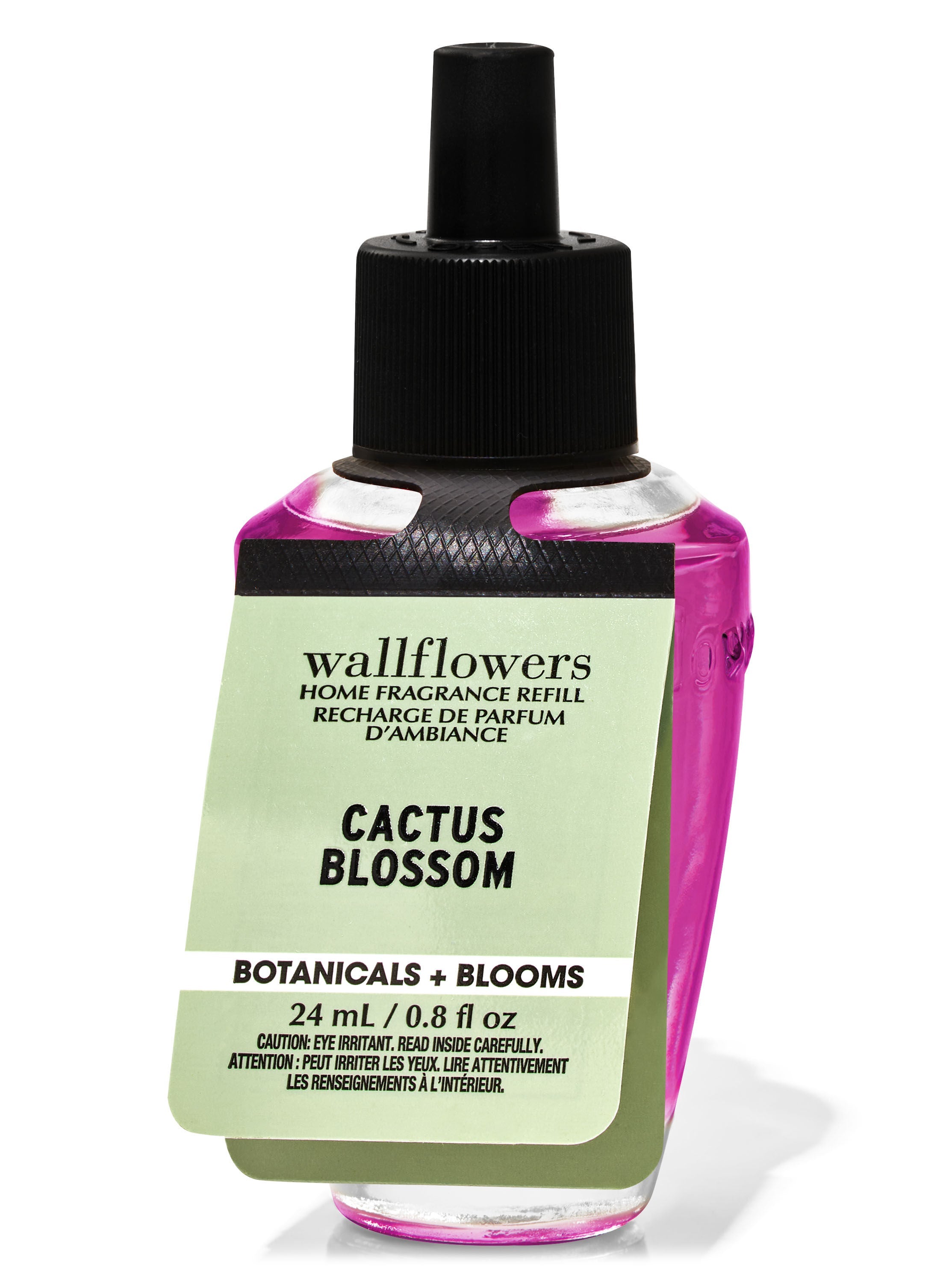 Cactus Blossom