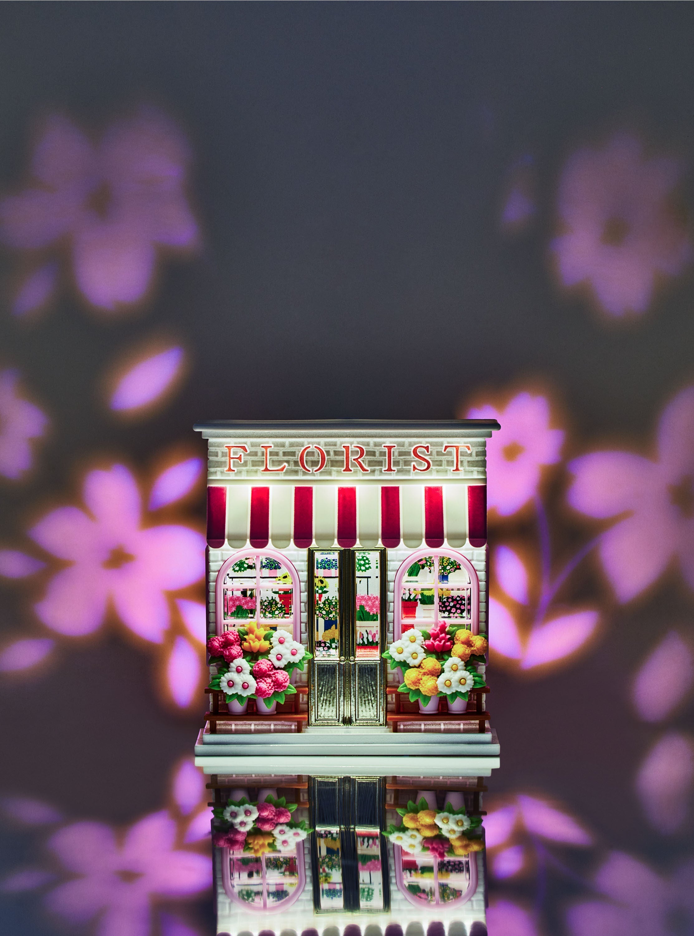 Flower Shop Projector