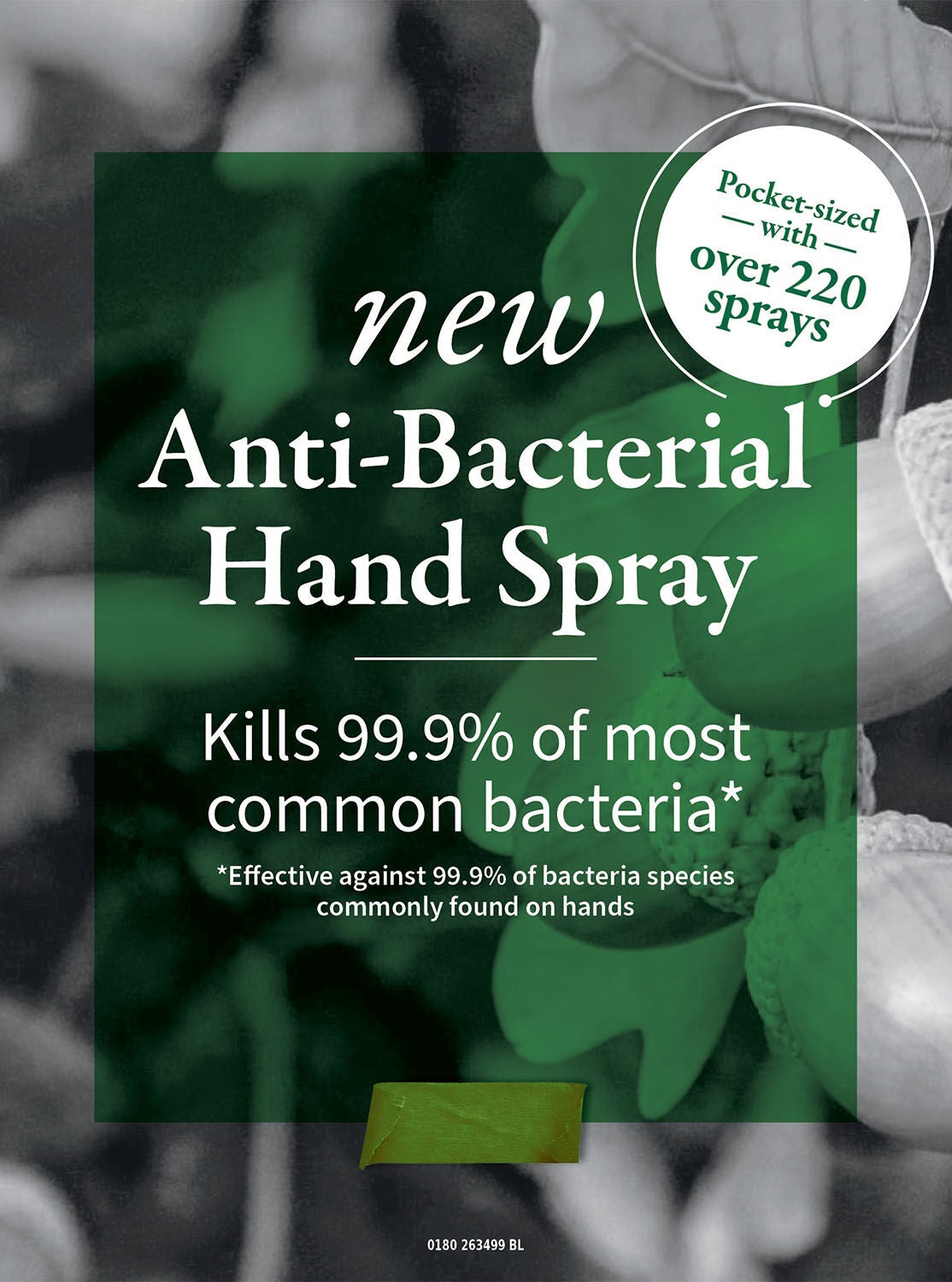 Waikiki Beach Coconut